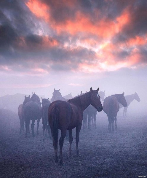 bdb21e6007b199739d00001a0f3