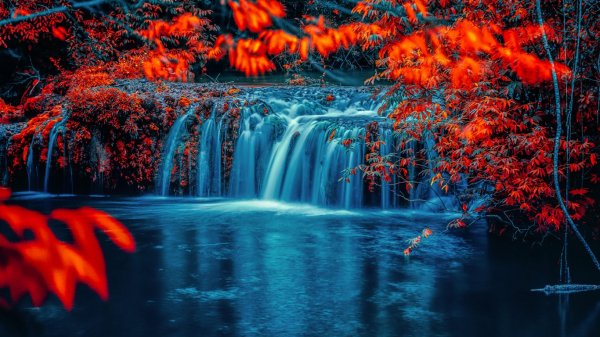 осень водоём пейзаж листья