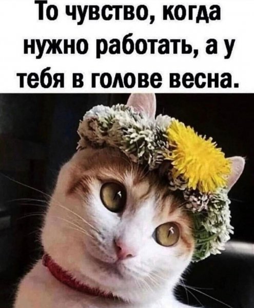 IMG 20250308 054626 011