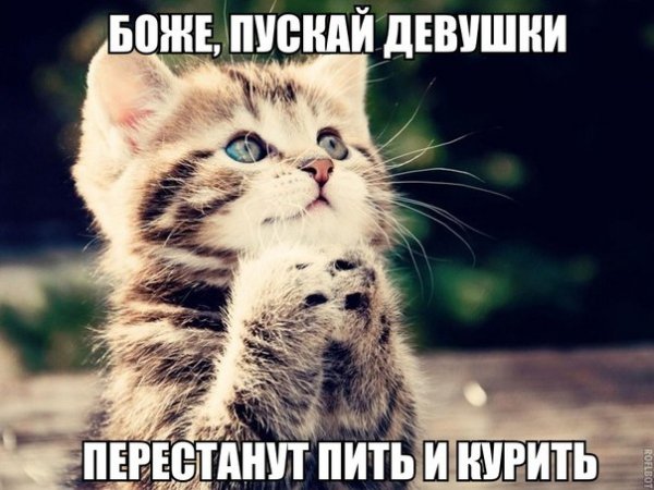 Нравится во Всем