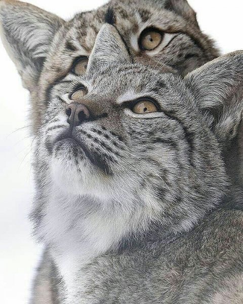 FA-A392-4147-B0E0-F54BAAC80442