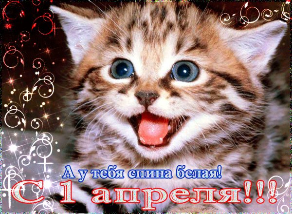 IMG 20180401 152433 43