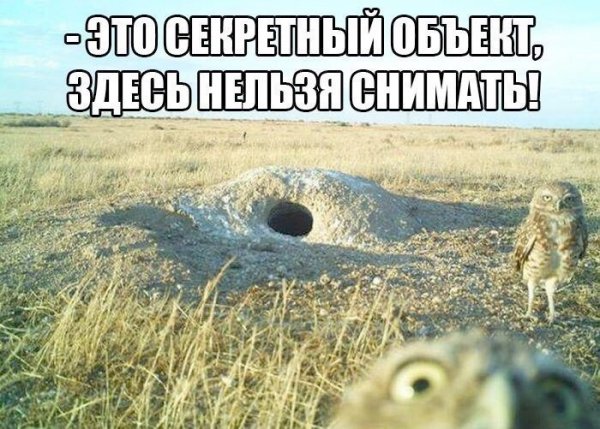 9d83c05cf5 1749346638