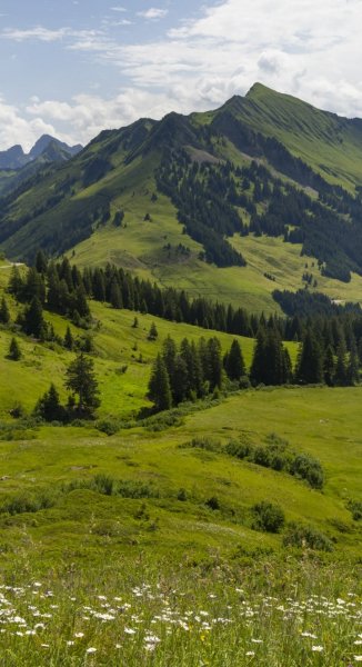 Screenshot 20260122-111444 One UI Home