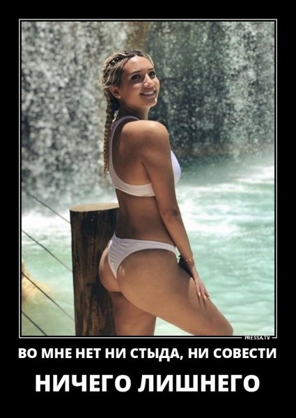 Ни стыда, ни совести