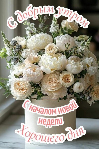 Друзья мои!