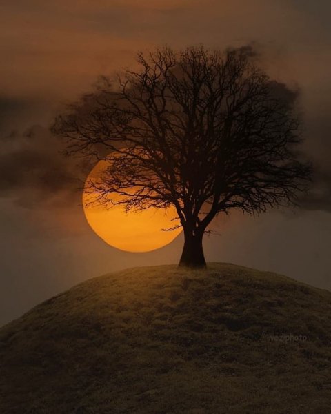 6AFF2EC6-B9A3-417A-9B0A-361F502F6570