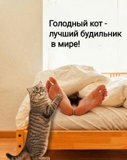Tmp-cam-237911561