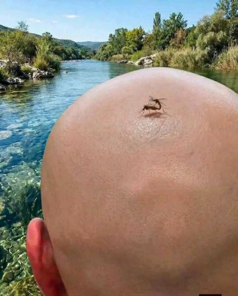 FB IMG 1776745613942