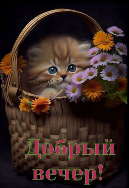 ee810634be0b57d7cd86b0283c28c