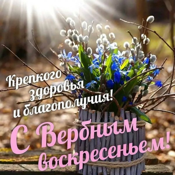 Adb08152f7f79beca36130dfd69a435d