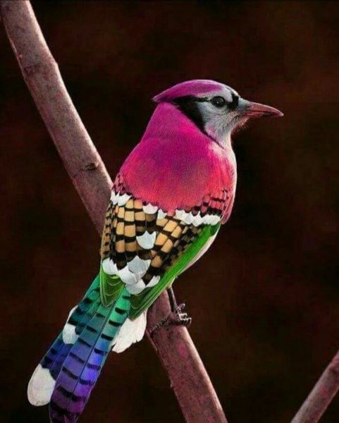 D961595a207676fc2de18f1b70fc06f0