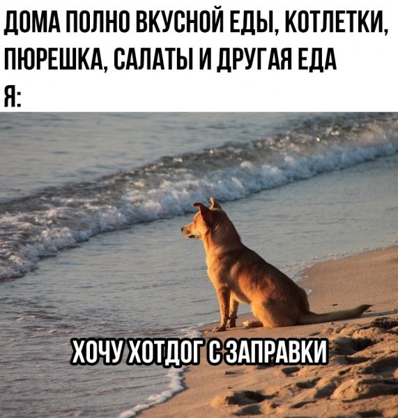 XWe GWiyoABzcOwK2aaqvuFTlXrvDUb3sj4xRvp7lPh