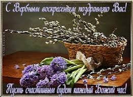 IMG-20160424-WA0003