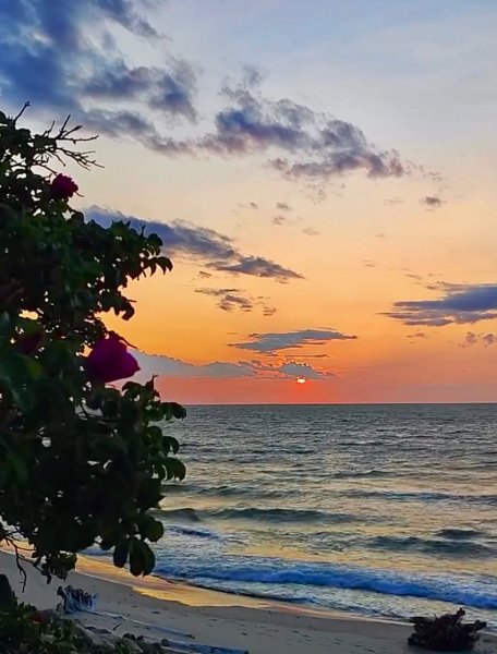 HQRQlHeutiAWdd0pO4HqwFACiv-es MAkiqcp1y-Q8JCXOHfl37A-dXPYW