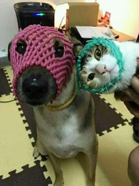 Бабушка приехала!