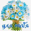ромашки