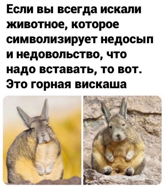 OKLOMHkTcks