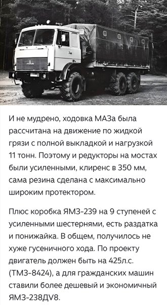 Белорусский МАЗ 6317