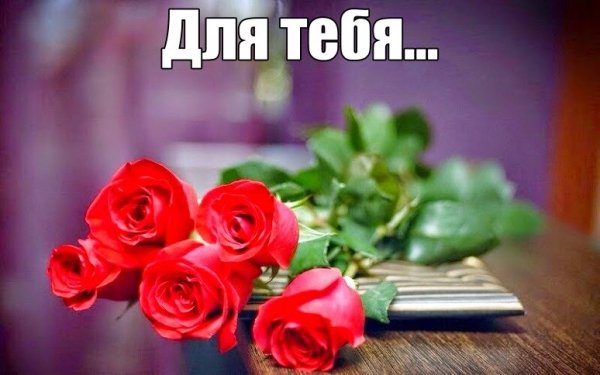 BPDmU5S8-q8 (1)