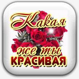 розы