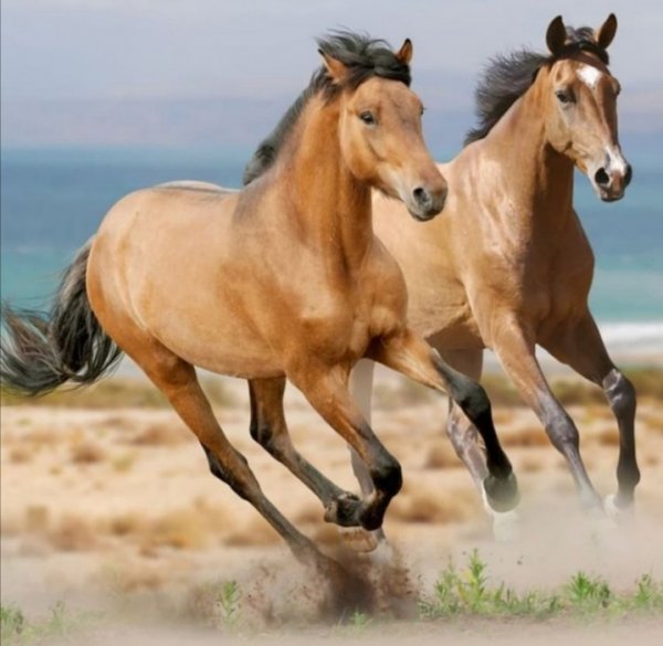 Screenshot 20211002 094127