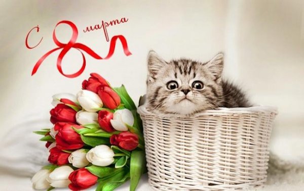 bebqJ7Z5Yd8 nasimke ru