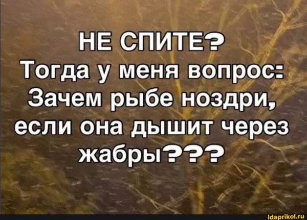 Сон разума