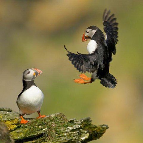 I - 2025-08-23T020838.476