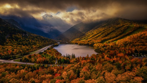 vk.com oboihd (59129)