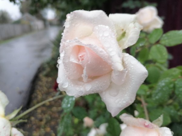 IMG 20251013 080557