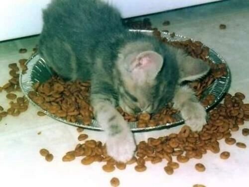 Я больше не могу