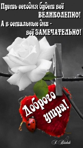 Всем!