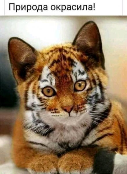 FB IMG 16401442024747330