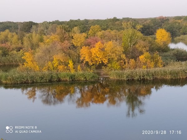 JPEG 20200928 1716139632646031843634003948