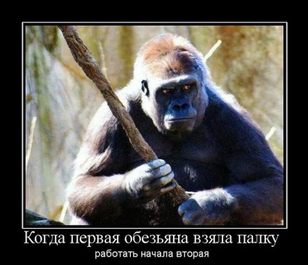Эволюция