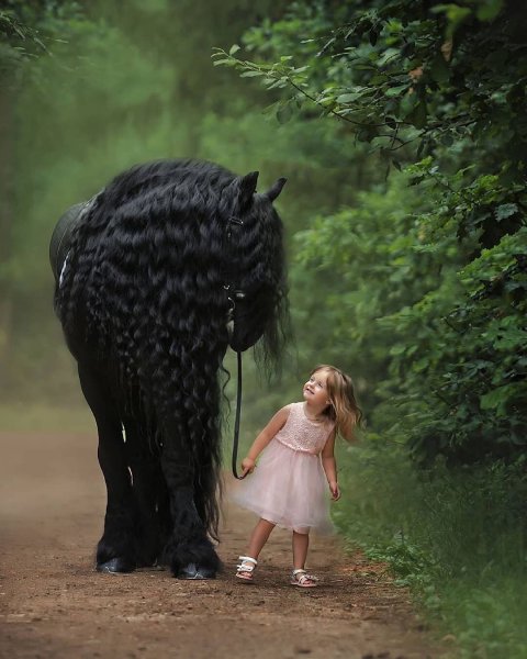 AF0CF-9205-4693-9561-EB28E2B1519B