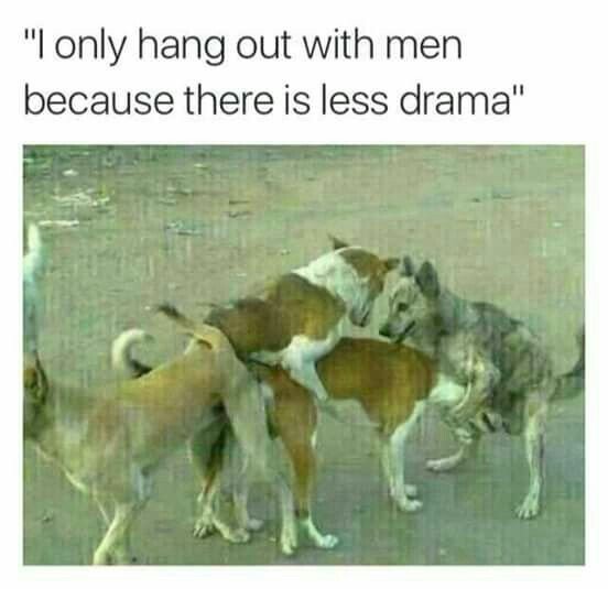 ef3689dde96876c64ce876b5538ab8e1