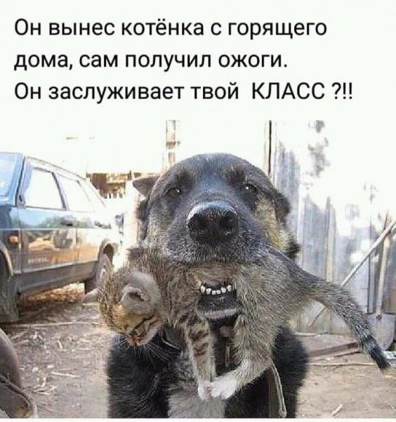 FB IMG 15488604101463792