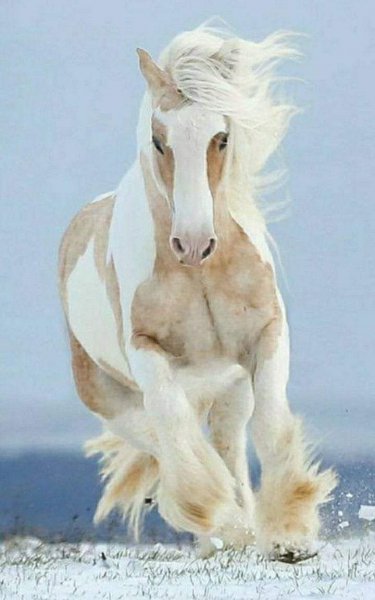 20-18-16-240451839 168961205342335 1640484919388867801 n