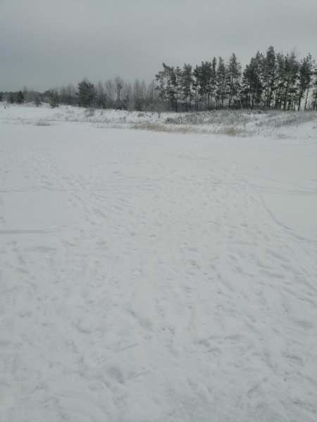 Зима