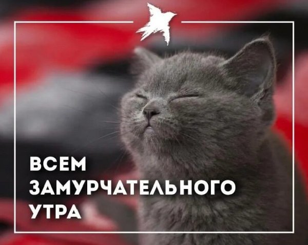 Всем и каждому!