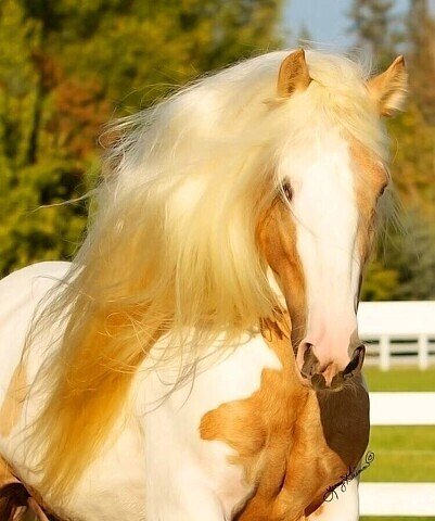 image (3) - 2020-08-26T133400.782