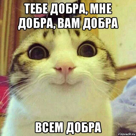 kotyaka-ulibaka 82748762 orig