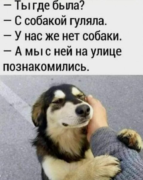 Да!!!
