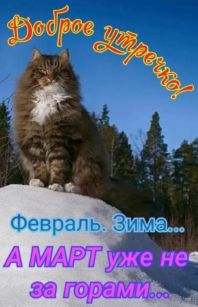 Доброе утречко!