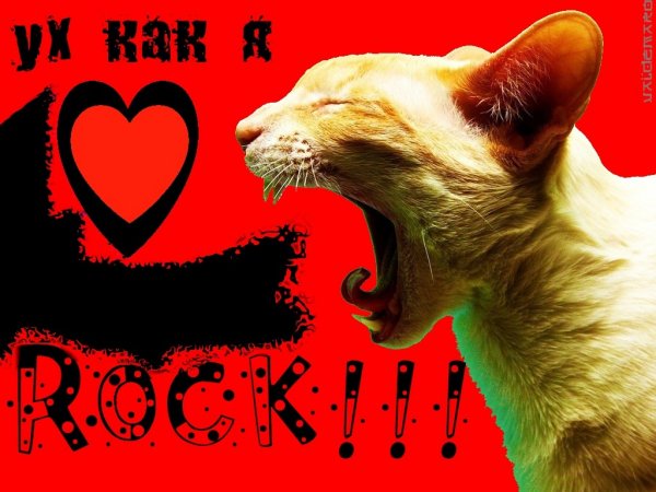 КАК Я ЛЮБЛЮ РОК