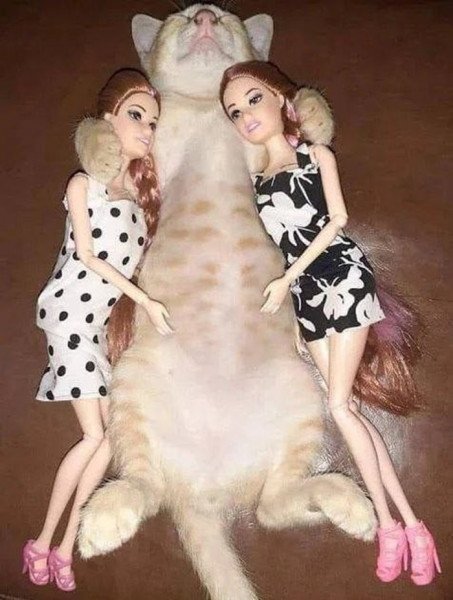 E-shutki-i-ne-boitsja-vzgljanut-na-mir-s-ulybkoj-51