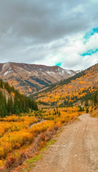 Screenshot 20251012-092933 One UI Home