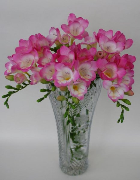 Freesia 5 orig-